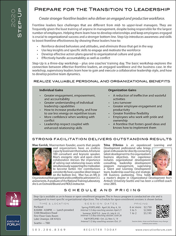 Image of Step-Up Flyer